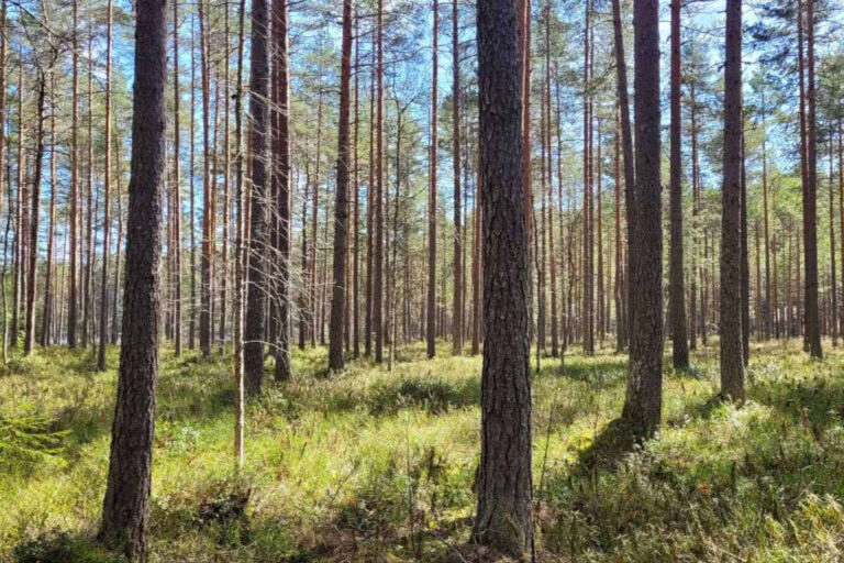 Kun keho ja mieli ovat väsyneet
